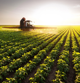 Hydrated Lime Supplier South Africa